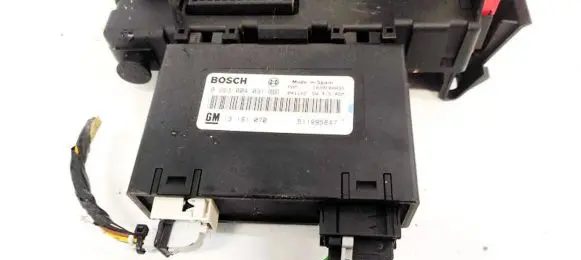Opel Signum Parking PDC control unit/module 13181070 0263004031