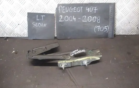 Peugeot 407 Tailgate/trunk/boot hinge