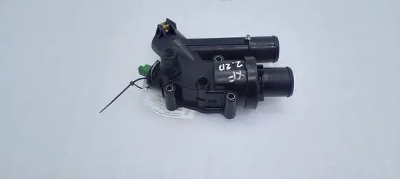 Thermostat/thermostat housing