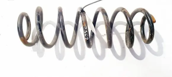 Rear coil spring