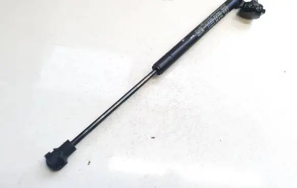 Tailgate/trunk strut/damper