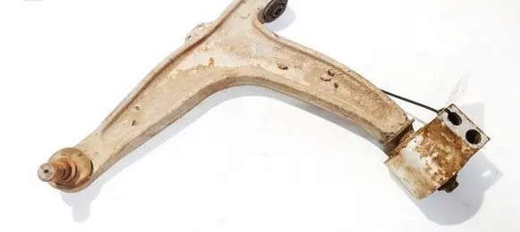 Front lower control arm/wishbone