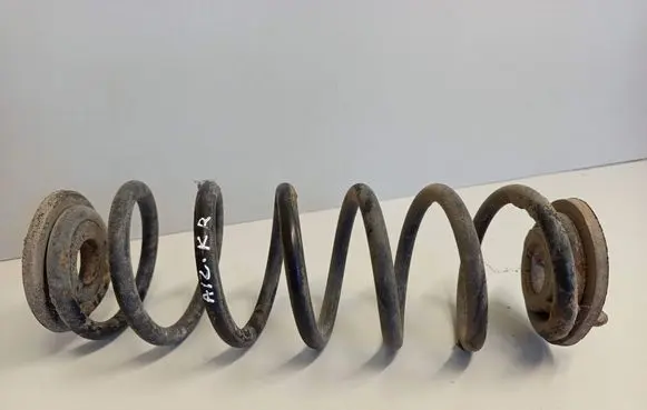 Volkswagen PASSAT B6 Rear coil spring