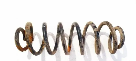 Volkswagen PASSAT B6 Rear coil spring