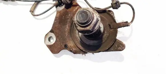 Renault Laguna III Stub axle AFC1