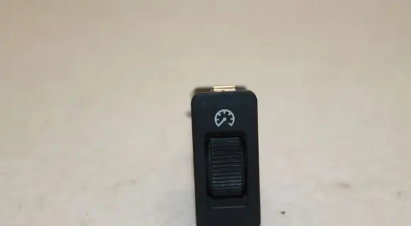 Panel lighting control switch