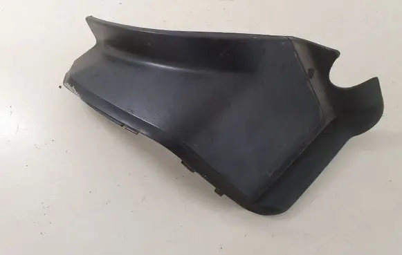 Rear/tail light trim molding