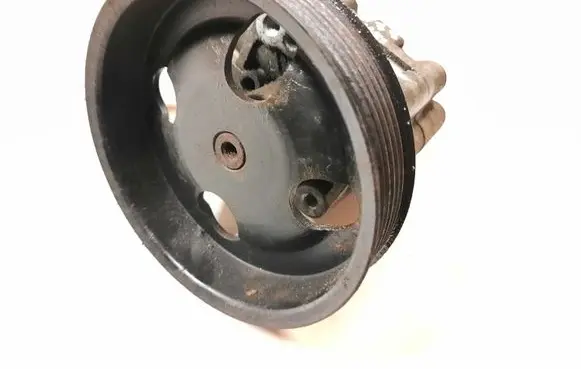 Suzuki Grand Vitara II Power steering pump 4910067J00