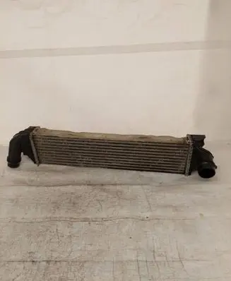 Renault Trafic III (X82) Intercooler radiator