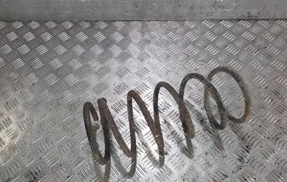 Chrysler 300M Rear coil spring
