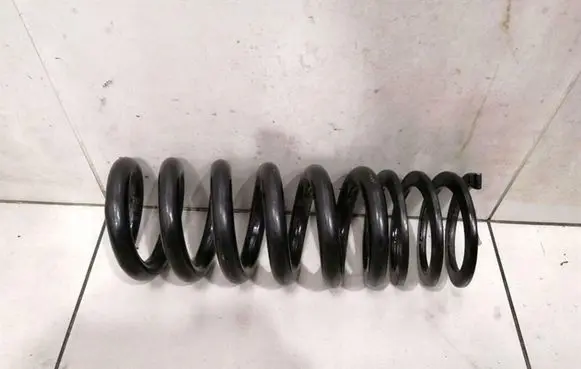 Mercedes-Benz S W220 Front coil spring A2203201638