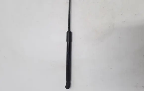 Tailgate strut