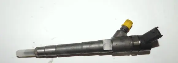 Fiat Ducato Fuel injector 0445110418