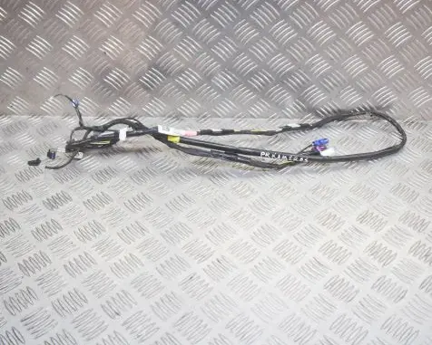 Tesla Model 3 Other wiring loom 106878700E