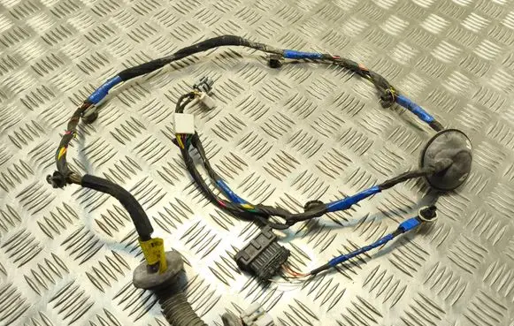 Hyundai Sonata Rear door wiring loom 916603K020 919803K050