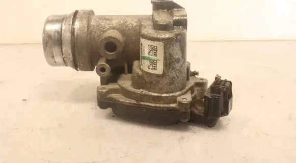 Throttle body valve