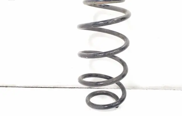 Rear coil spring