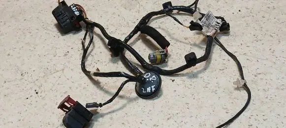 Front door wiring loom
