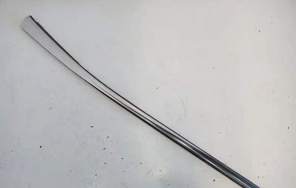 Rear door trim (molding)