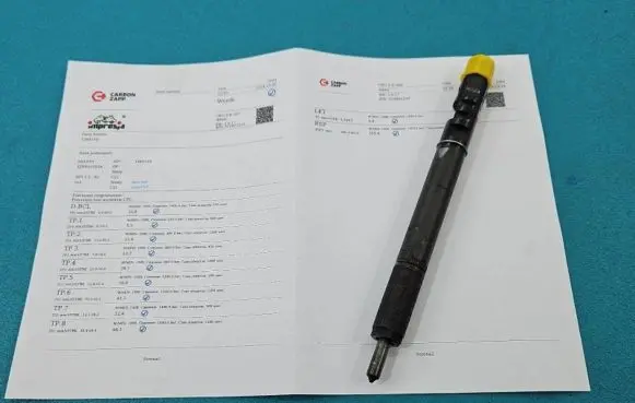 Citroen C3 Fuel injector EJBR01001A IMPRK1389719