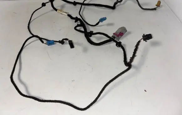 Volkswagen PASSAT B6 Front door wiring loom 3C1971557