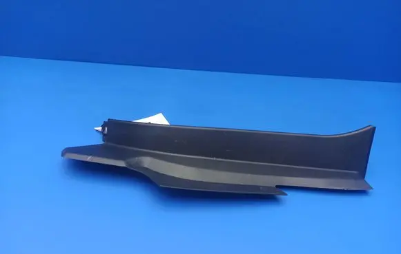 Rear/tail light trim molding