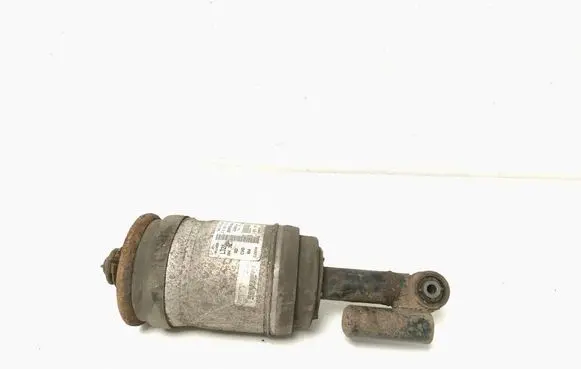 Land Rover Range Rover Sport L320 Rear shock absorber/damper AH3218W003AE