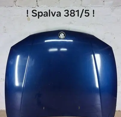 BMW 1 E81 E87 Engine bonnet/hood