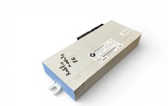BMW 5 F10 F11 Tailgate/trunk control unit/module 7304902 F005V01102 0010880702
