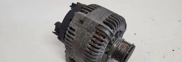 Volkswagen PASSAT B6 Generator/alternator 021903026L 2542783C 605119895