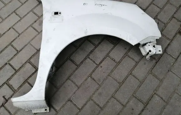 Renault Kangoo I Fender