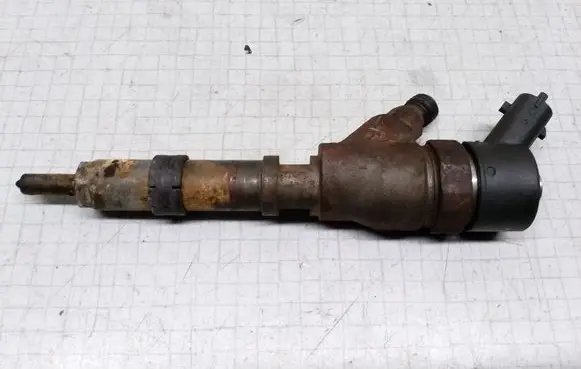Citroen Xsara Picasso Fuel injector 9641742880