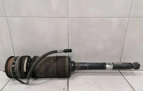Mercedes-Benz S W221 Rear shock absorber with coil spring A2213204813