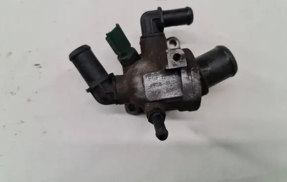 Thermostat/thermostat housing