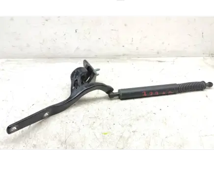Tailgate strut