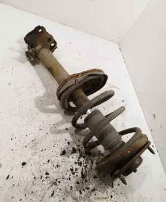 Front shock absorber with coil spring