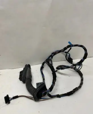 BMW 1 E81 E87 Front door wiring loom 6928651 EES54T 11107810