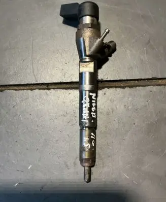 Renault Megane III Fuel injector 8200903034