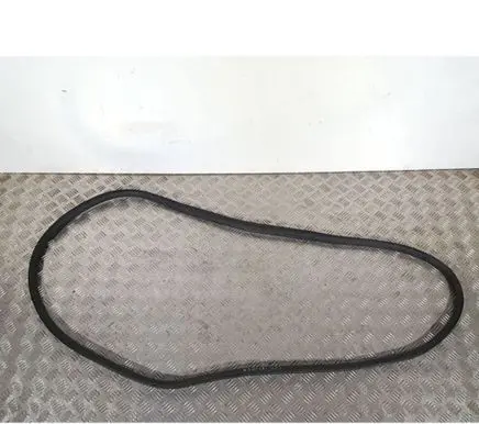 Citroen C3 Front door rubber seal 9813059580