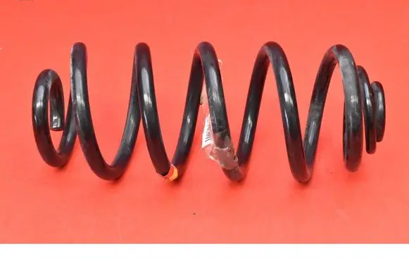 Rear coil spring