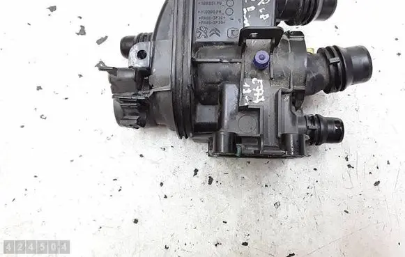 Thermostat/thermostat housing