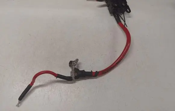 Positive wiring loom