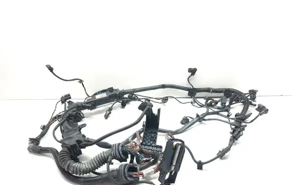 Engine installation wiring loom