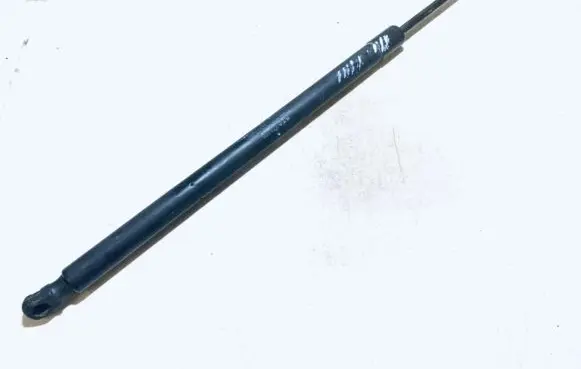 Tailgate/trunk strut/damper