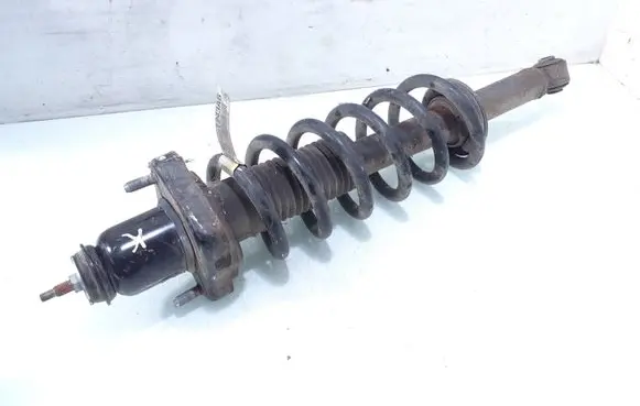 Dodge Journey Rear shock absorber with coil spring 866ac 25591f243ab