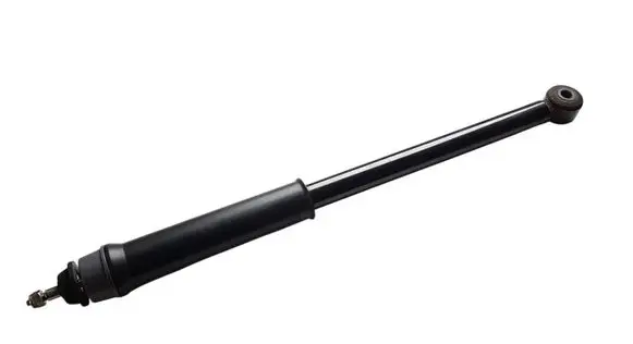 Renault Arkana Rear shock absorber/damper 562102173R