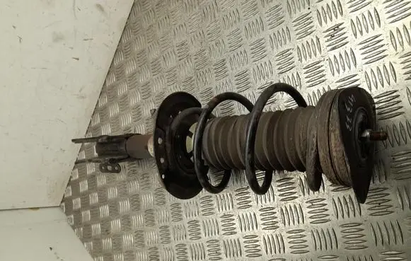 Renault Megane E-Tech Rear shock absorber with coil spring 562108167R