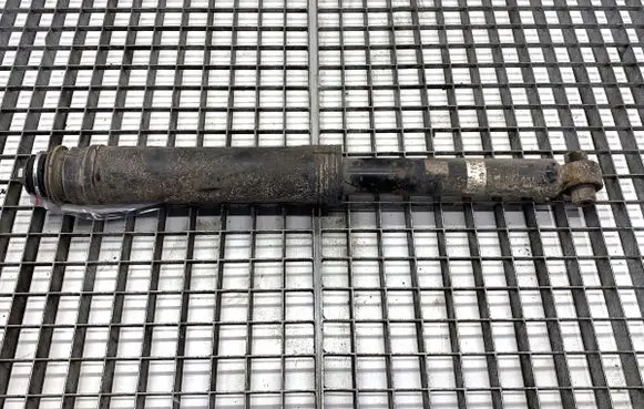 Lexus CT 200H Rear shock absorber/damper 4853076050