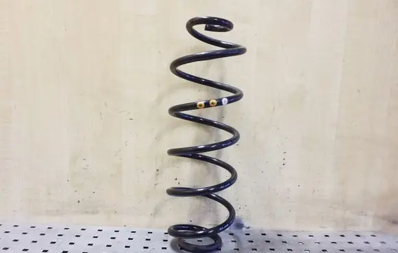 Rear coil spring