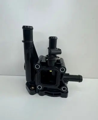Thermostat/thermostat housing
